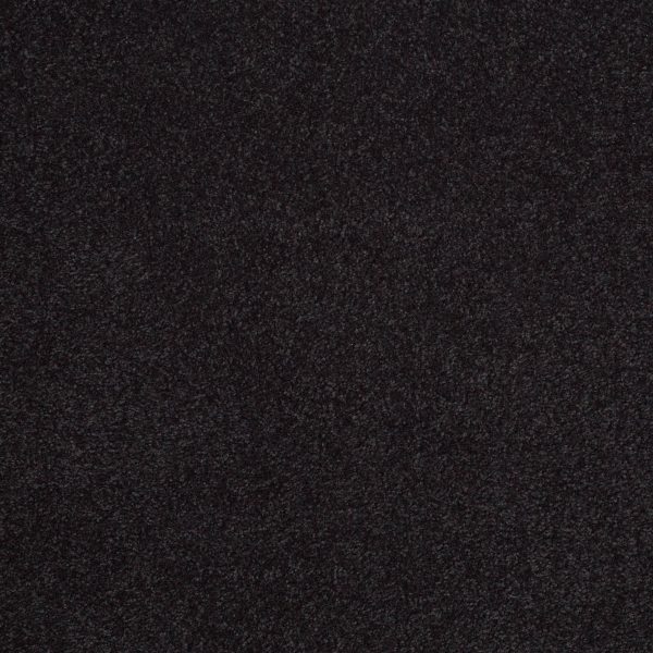 Shaw Floors Retail SANDY HOLLOW III 12' - 00503 GRAPHITE
