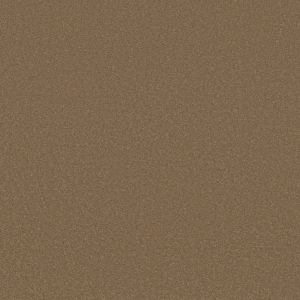 Shaw Floors Retail SANDY HOLLOW III 12' - 00700 MUFFIN