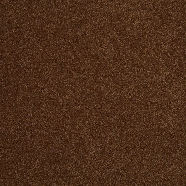 Shaw Floors Retail SANDY HOLLOW III 12' - 00707 TORTOISE SHELL