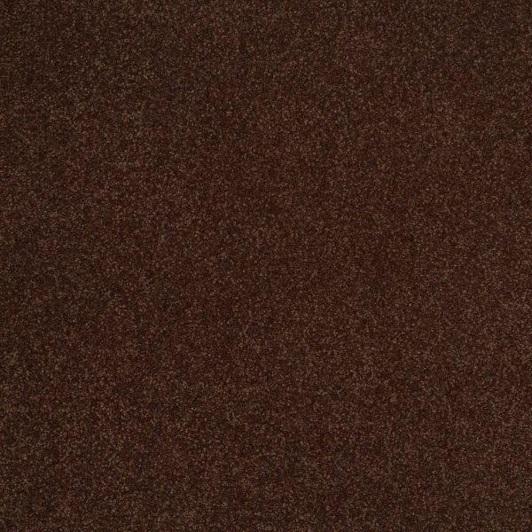 Shaw Floors Retail SANDY HOLLOW III 12' - 00711 COFFEE BEAN
