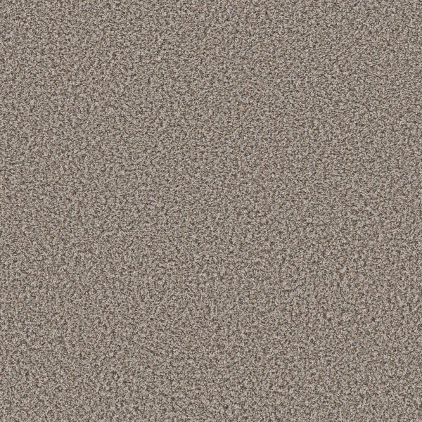 Shaw Floors Value QS850 - 00500 DOLPHIN