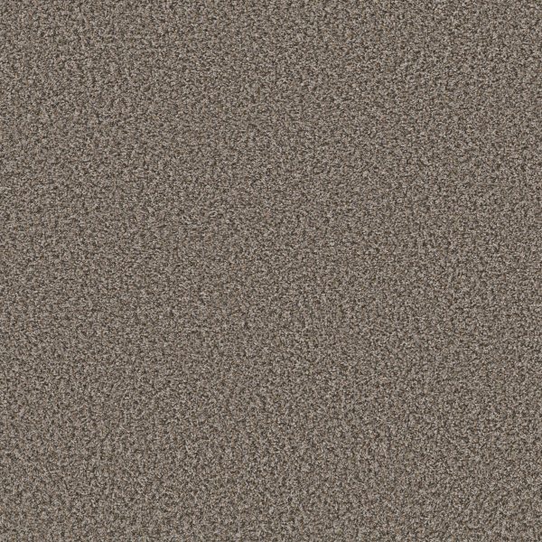 Shaw Floors Value QS850 - 00501 BOULDER