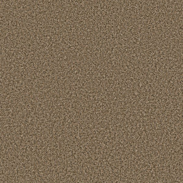 Shaw Floors Value QS850 - 00711 DESERT