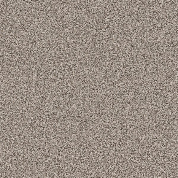Shaw Floors Retail XY437 - 00111 ALMOND