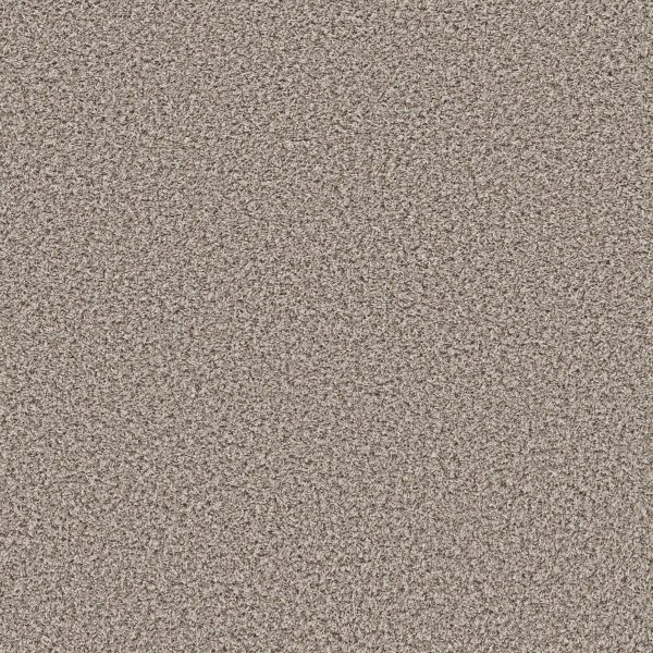 Shaw Floors Retail XY437 - 00123 STEPPING STONE