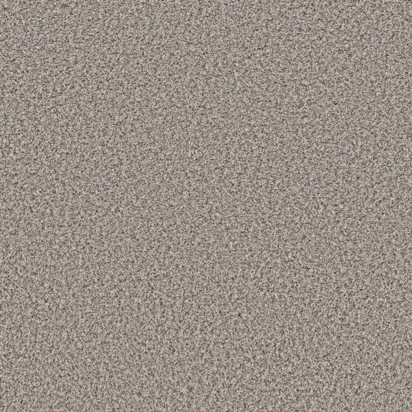 Shaw Floors Retail XY437 - 00510 EXPOSED BEAM