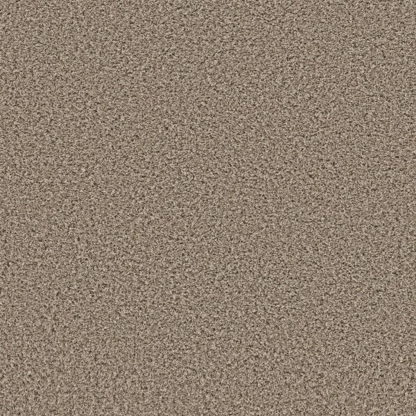 Shaw Floors Retail XY437 - 00710 NATURE TRAIL