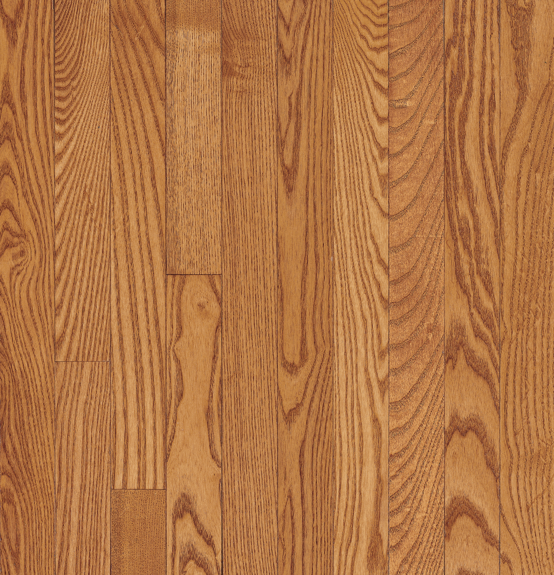 Bruce Manchester - Butterscotch Oak 3-1/4 in 3/4" High Gloss