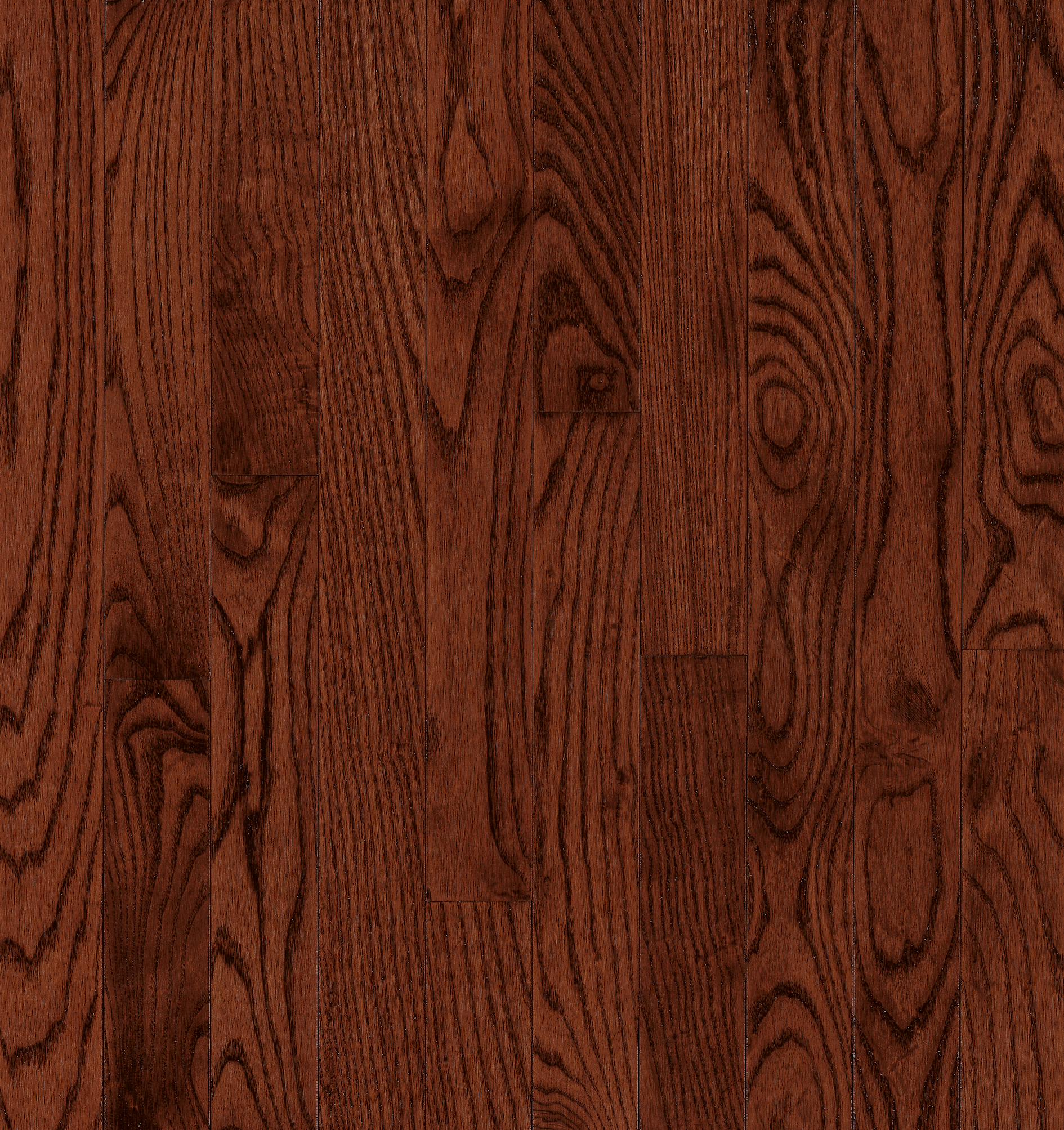 Bruce Manchester - Cherry Oak 2-1/4 in 3/4" High Gloss