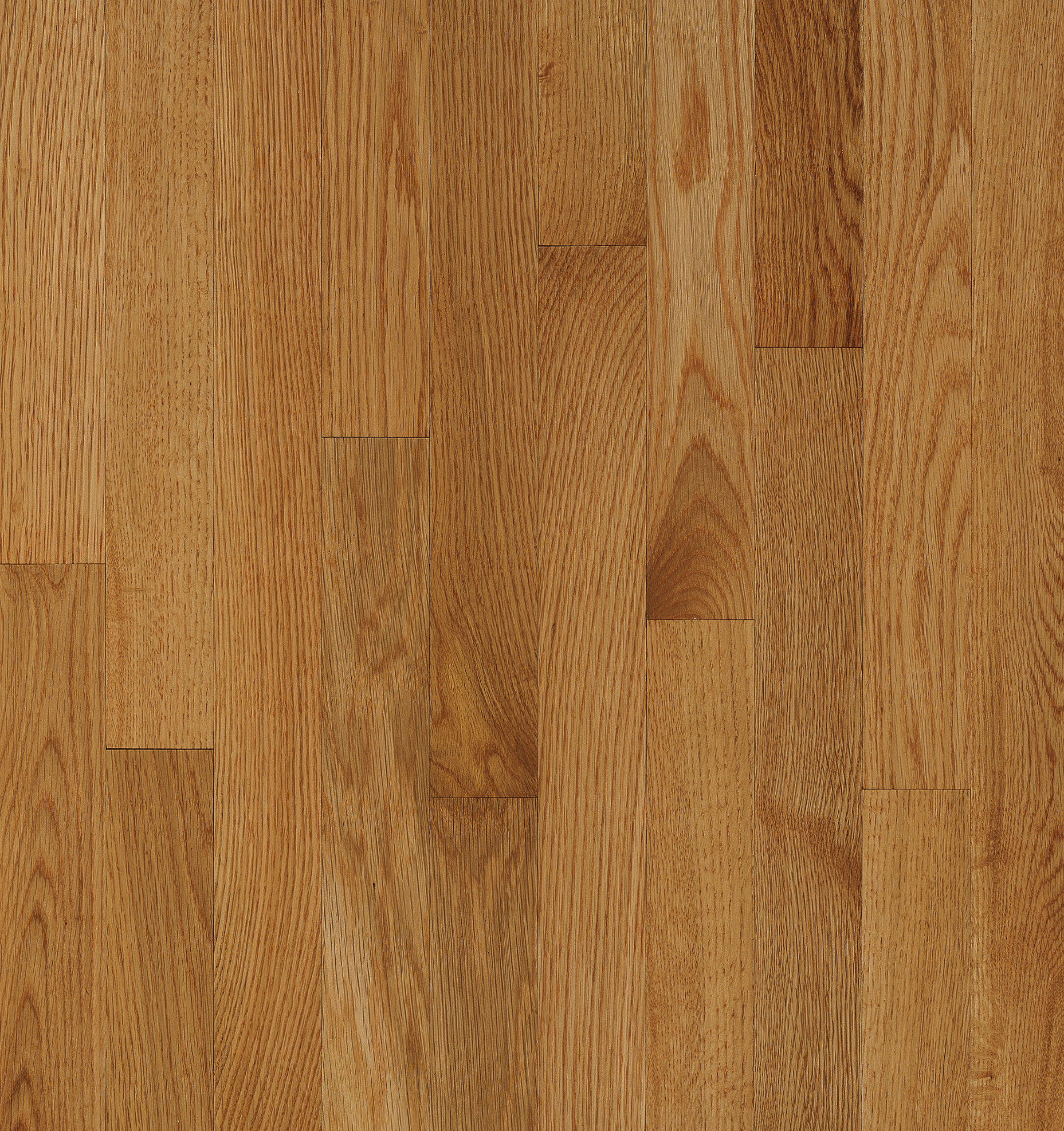 Bruce Natural Choice - Desert Natural Oak 2-1/4 in 5/16" Medium Gloss