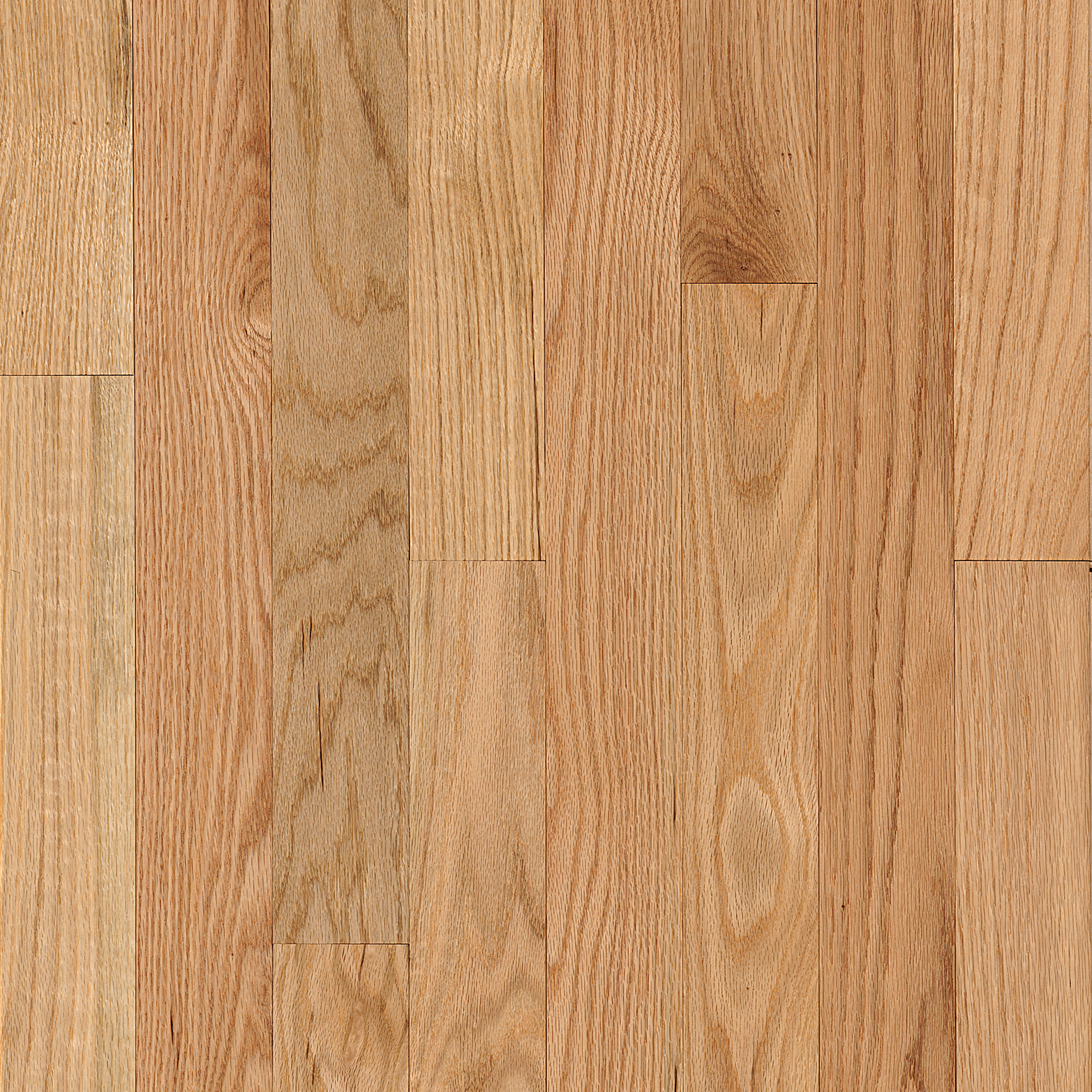Bruce Waltham - Country Natural Oak 2-1/4 in 3/4" Medium Gloss