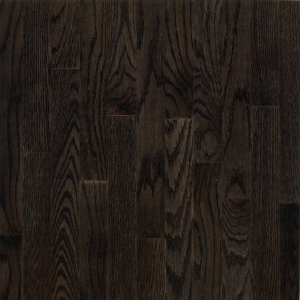Bruce Dundee - Espresso Oak 3-1/4 in 3/4" High Gloss