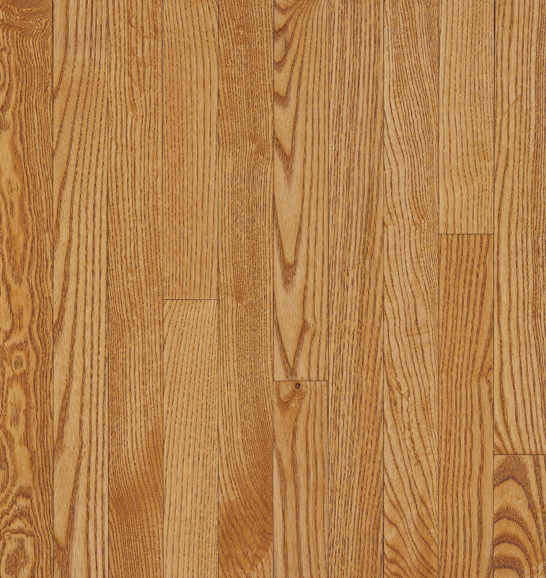 Bruce Westchester - Spice Oak 3-1/4 in 3/4" Medium Gloss