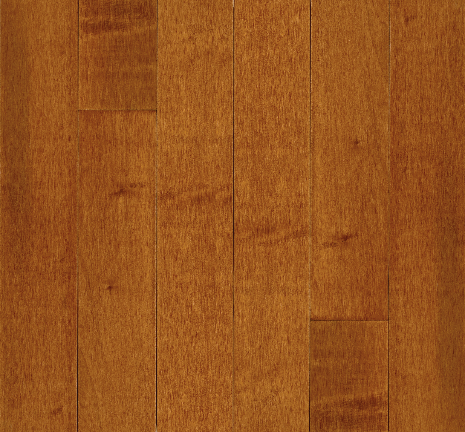 Bruce Kennedale - Cinnamon Maple 4 in 3/4" Medium Gloss