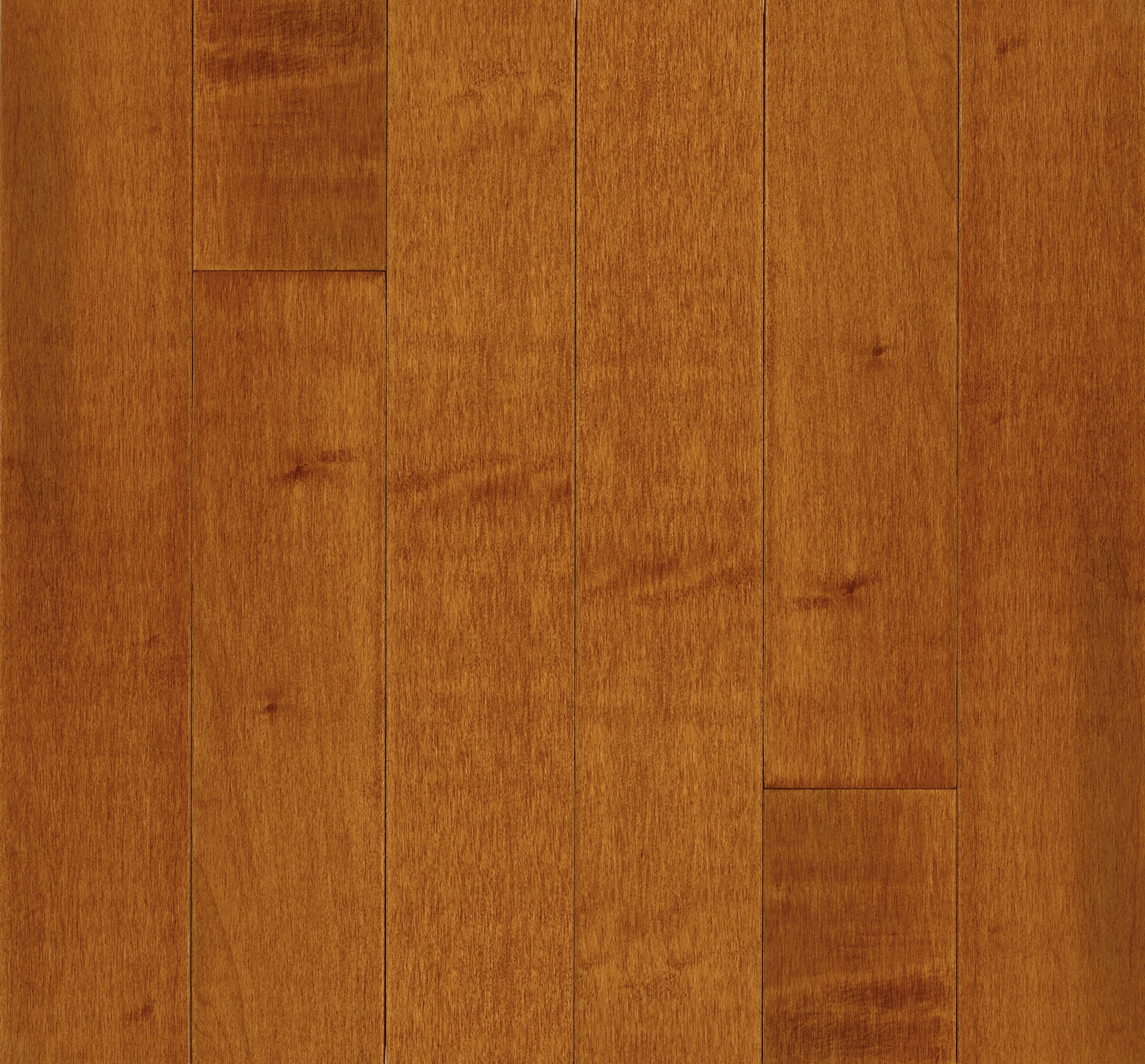 Bruce Kennedale - Cinnamon Maple 5 in 3/4" Medium Gloss