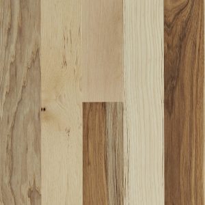Robbins Natural Forest - Country Natural 3-1/4 in Wide 3/4 in Thick (Hickory)