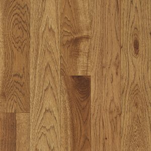 Robbins Natural Forest - Suede Brown 3-1/4 in Wide 3/4 in Thick (Hickory)