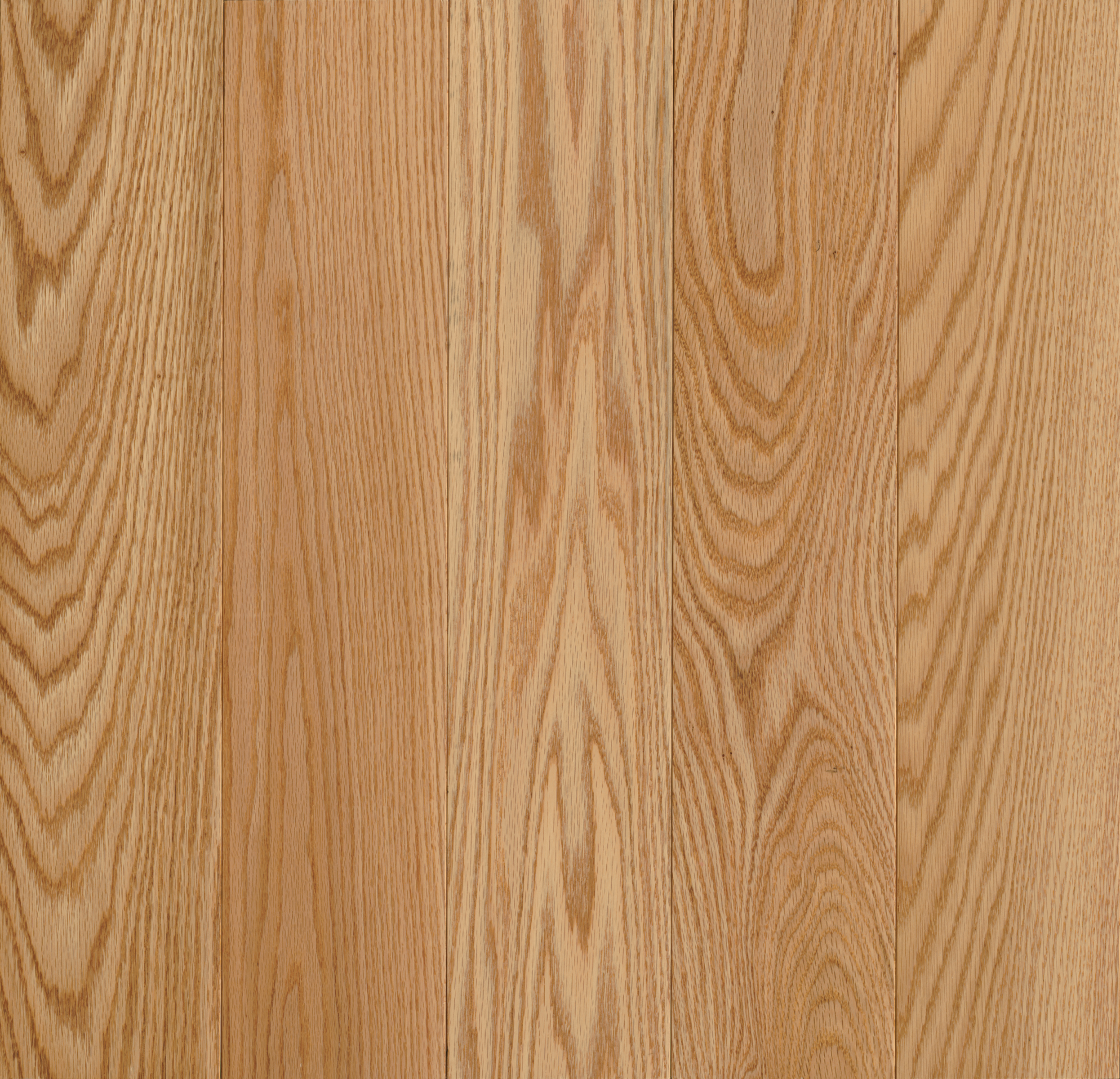 Robbins Natural Forest - Natural 3-1/4 in Wide 3/4 in Thick (Red Oak)
