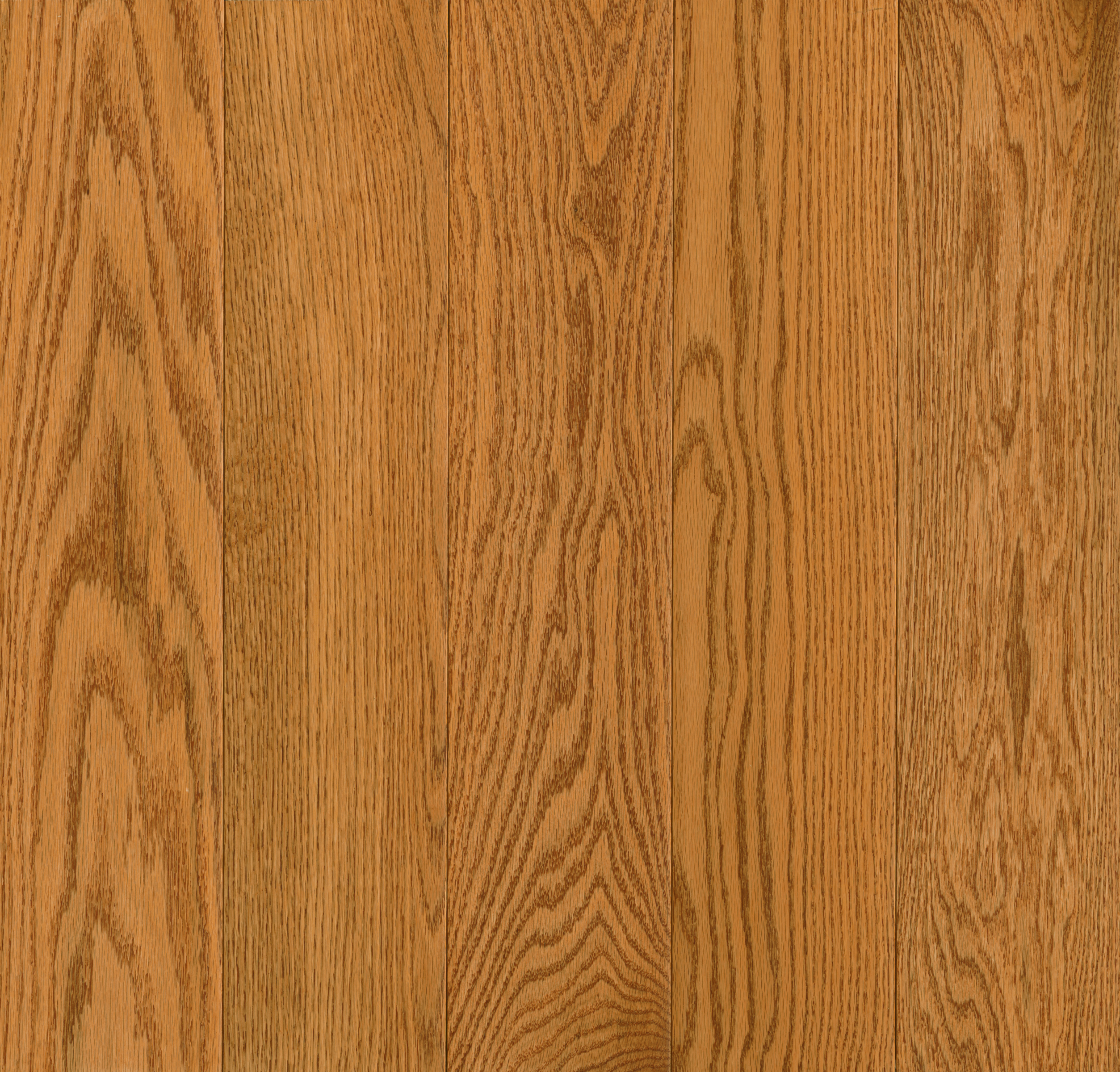 Robbins Natural Forest - Butterscotch 3-1/4 in Wide 3/4 in Thick (Red Oak)
