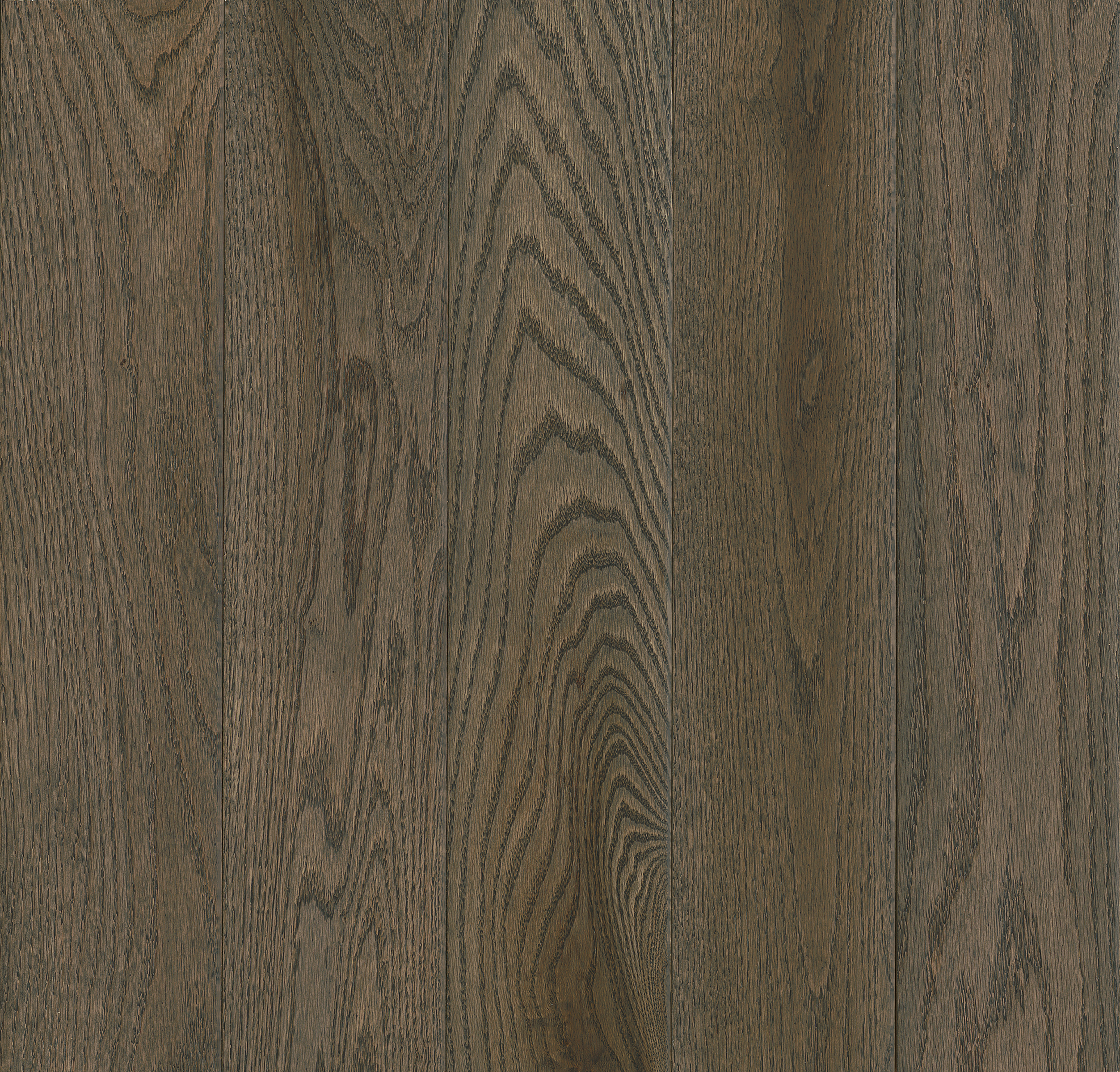 Robbins Natural Forest - Nickel Gray in Oak 3-1/4 in Wide x 3/4 in Thick