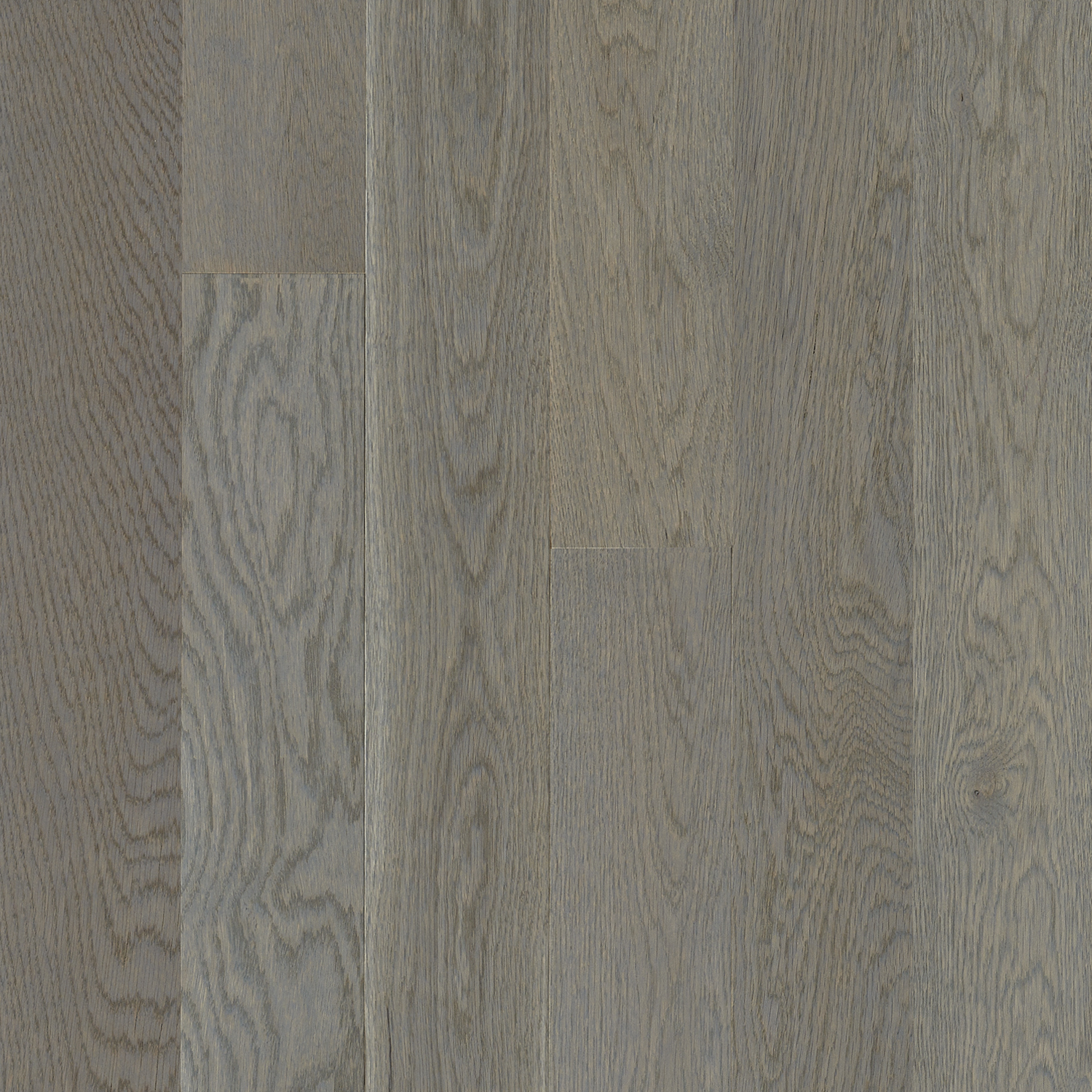 Robbins Natural Forest - Understated Gray in Oak 4 in Wide x 3/4 in Thick