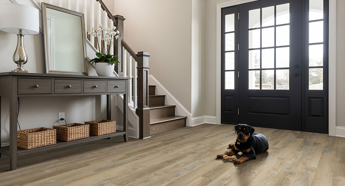 MSI Katavia - Lime Washed Oak 6 mil 6 in x 48 in