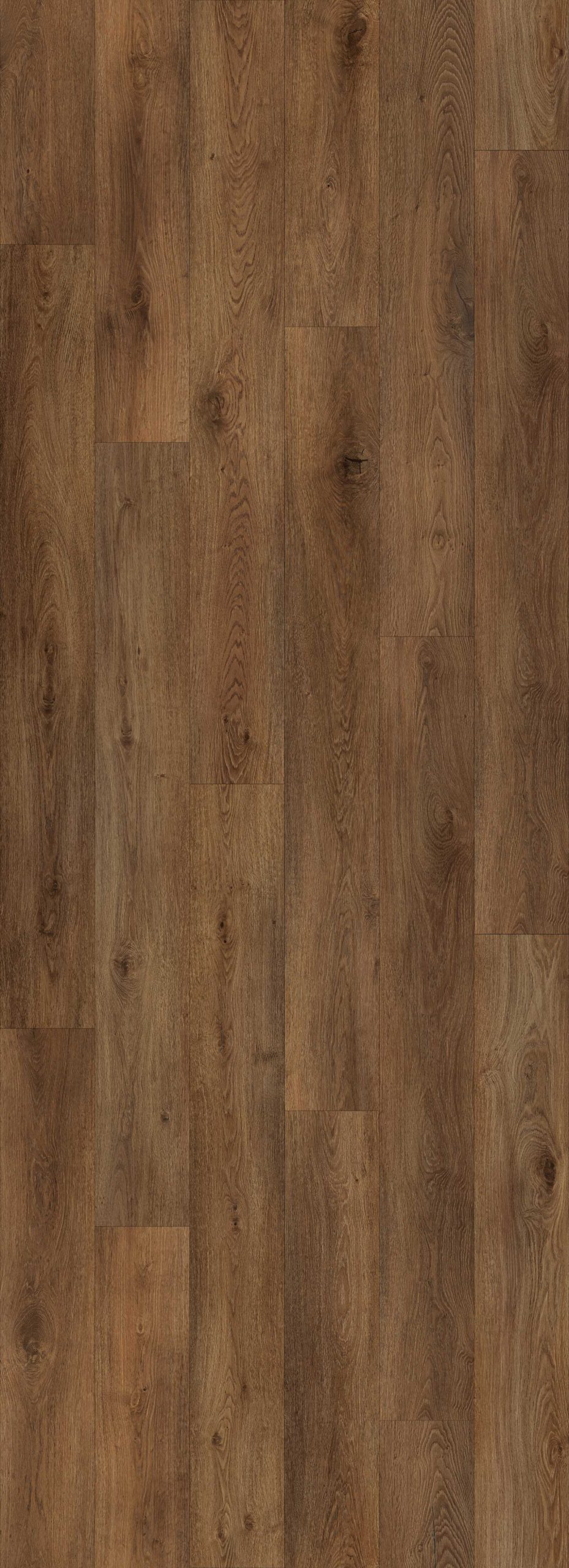 Lions Floor Bambino - Sienna Timber 7 in x 48 in 12 mil