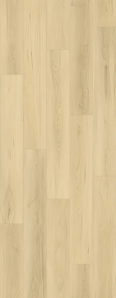 Lions Floor Haven Heights - Cedar Fields 9.33 in x 60 in AC3