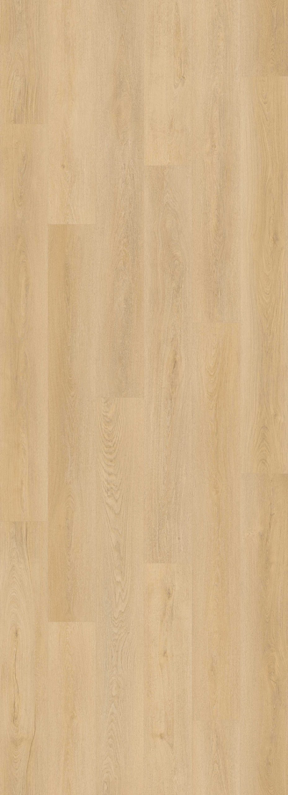 Lions Floor Bevelmark - Shadow Reveal 9 in x 72 in 20 mil