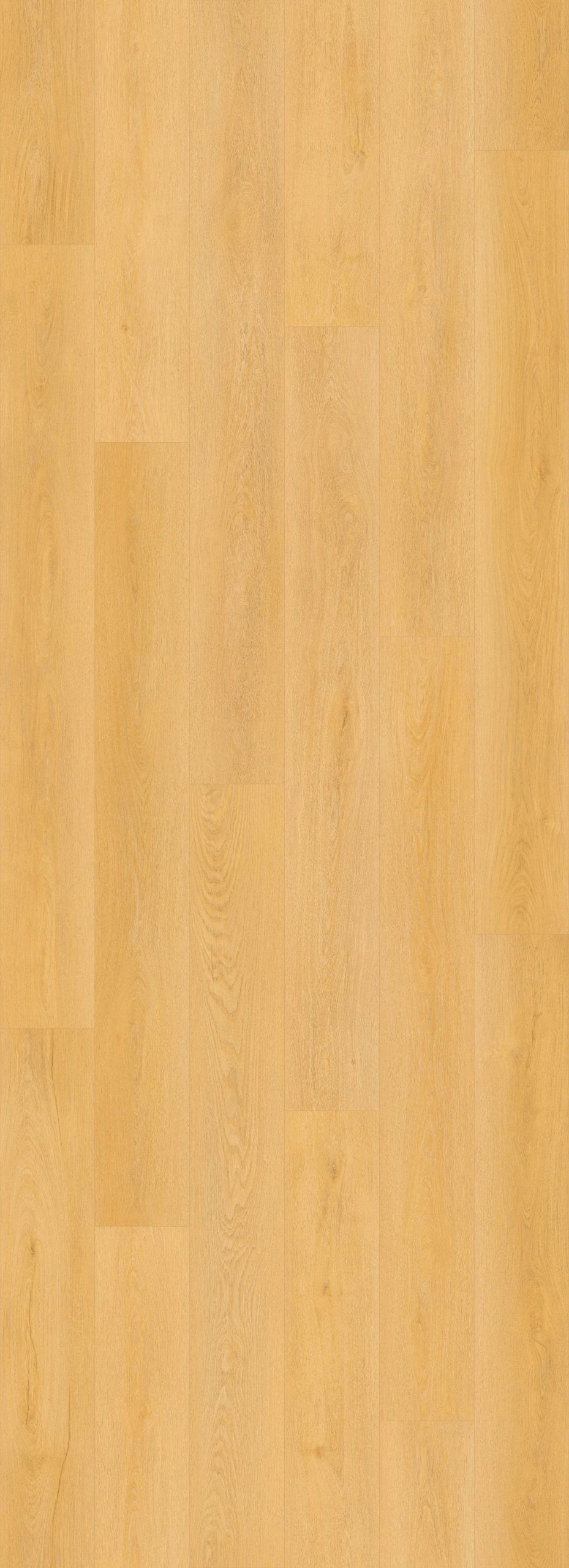 Lions Floor Bevelmark - Craftsman Ridge 9 in x 72 in 20 mil