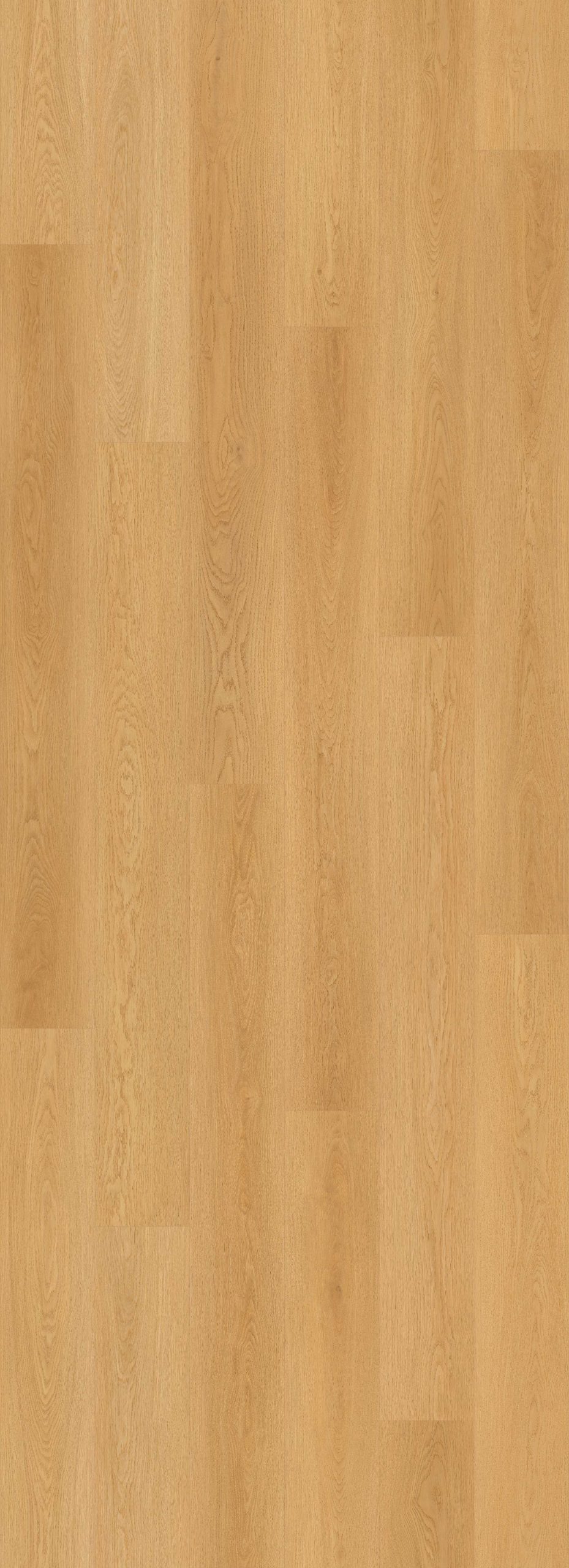 Lions Floor Bevelmark - Sculpted Notch 9 in x 72 in 20 mil