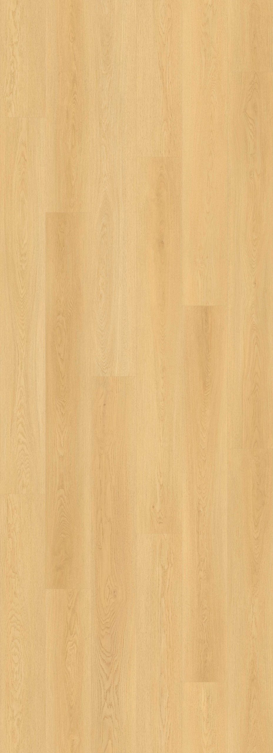 Lions Floor Bevelmark - Contour Grove 9 in x 72 in 20 mil