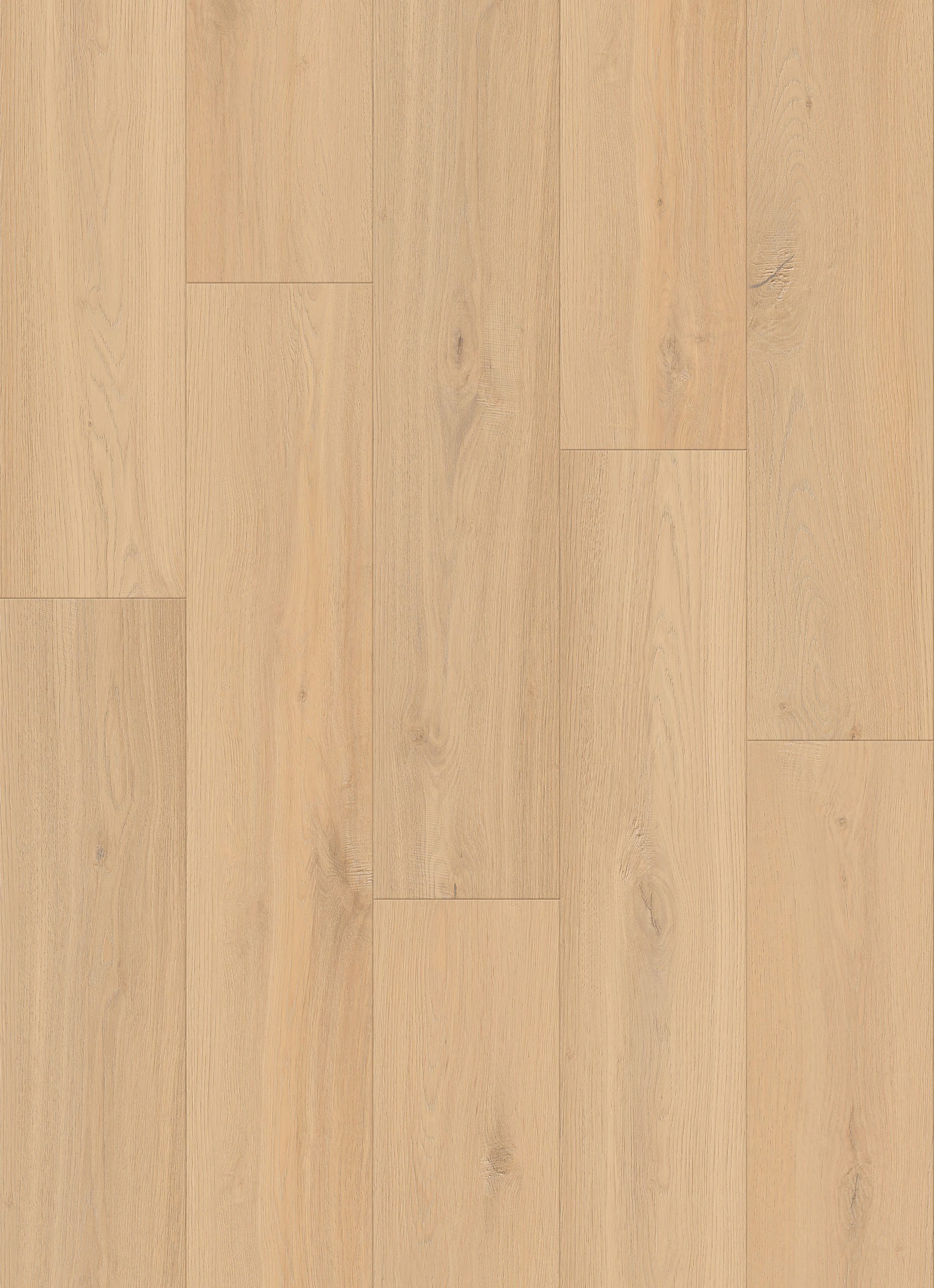 Lions Floor District Max - Naperville 7.25 in x 48 in 20 mil