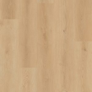 Lions Floor District - Billings 7.25 in x 48 in 6 mil