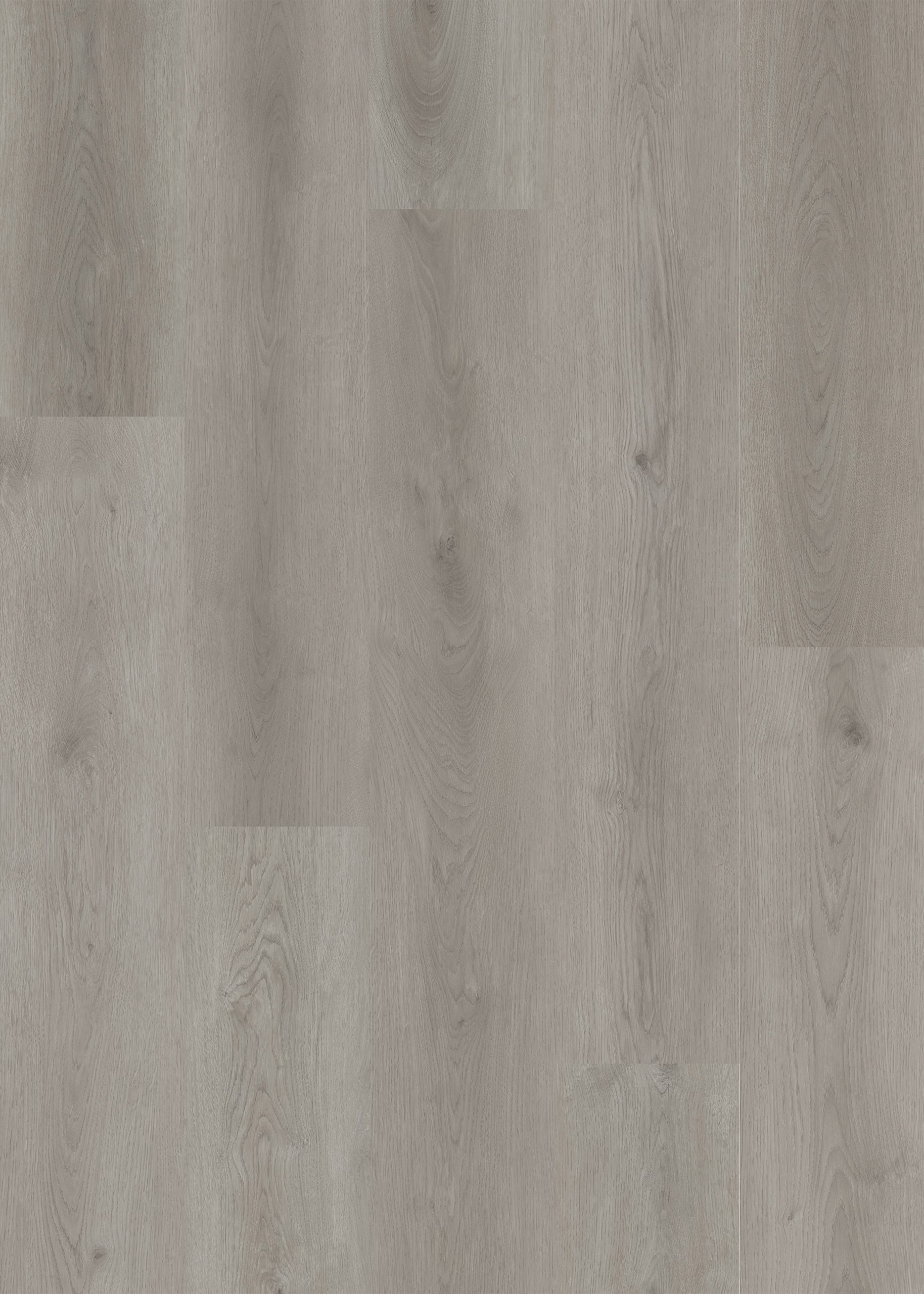 Lions Floor District - Los Alamos 7.25 in x 48 in 6 mil