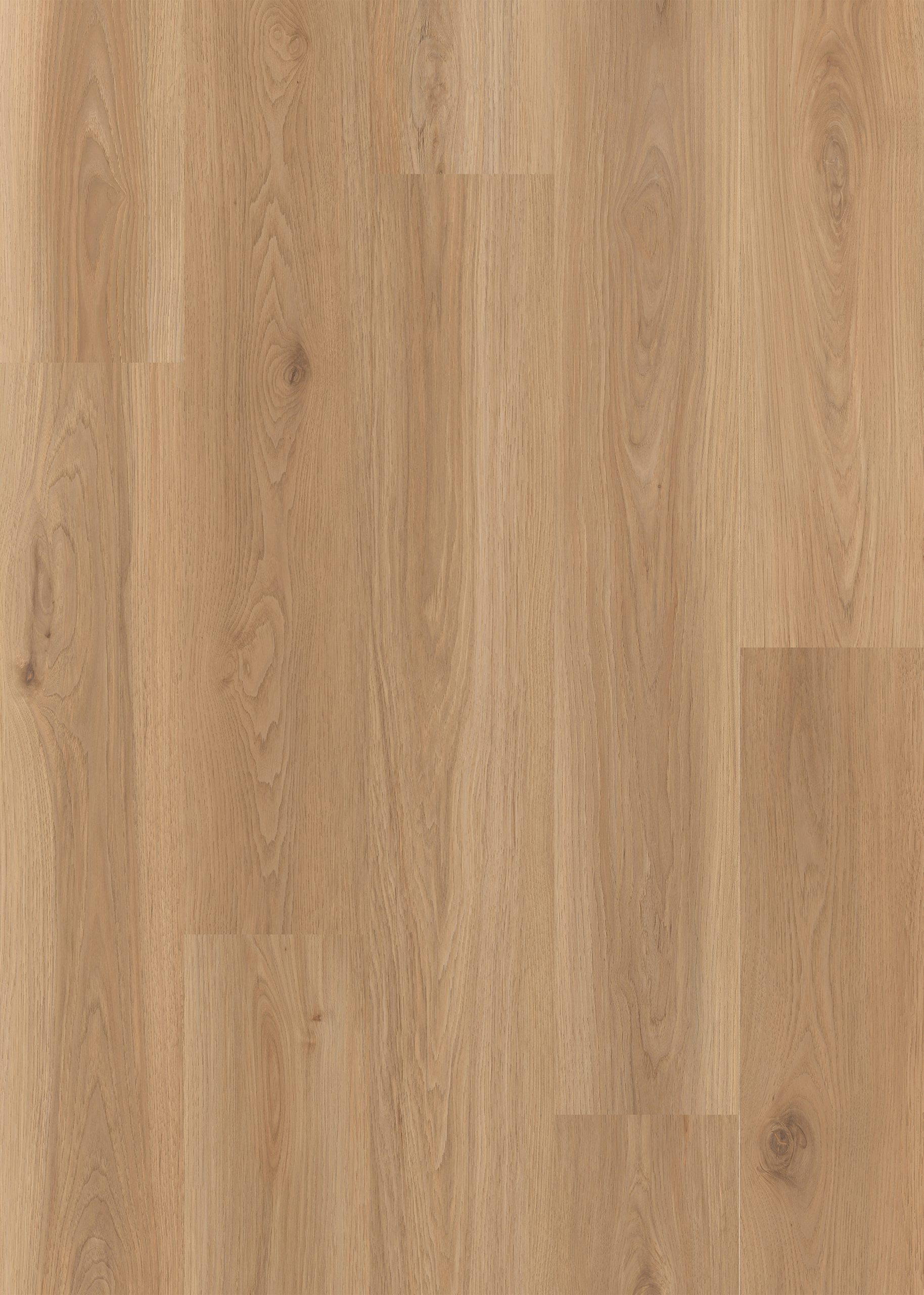 Lions Floor District - Ardmore 7.25 in x 48 in 6 mil
