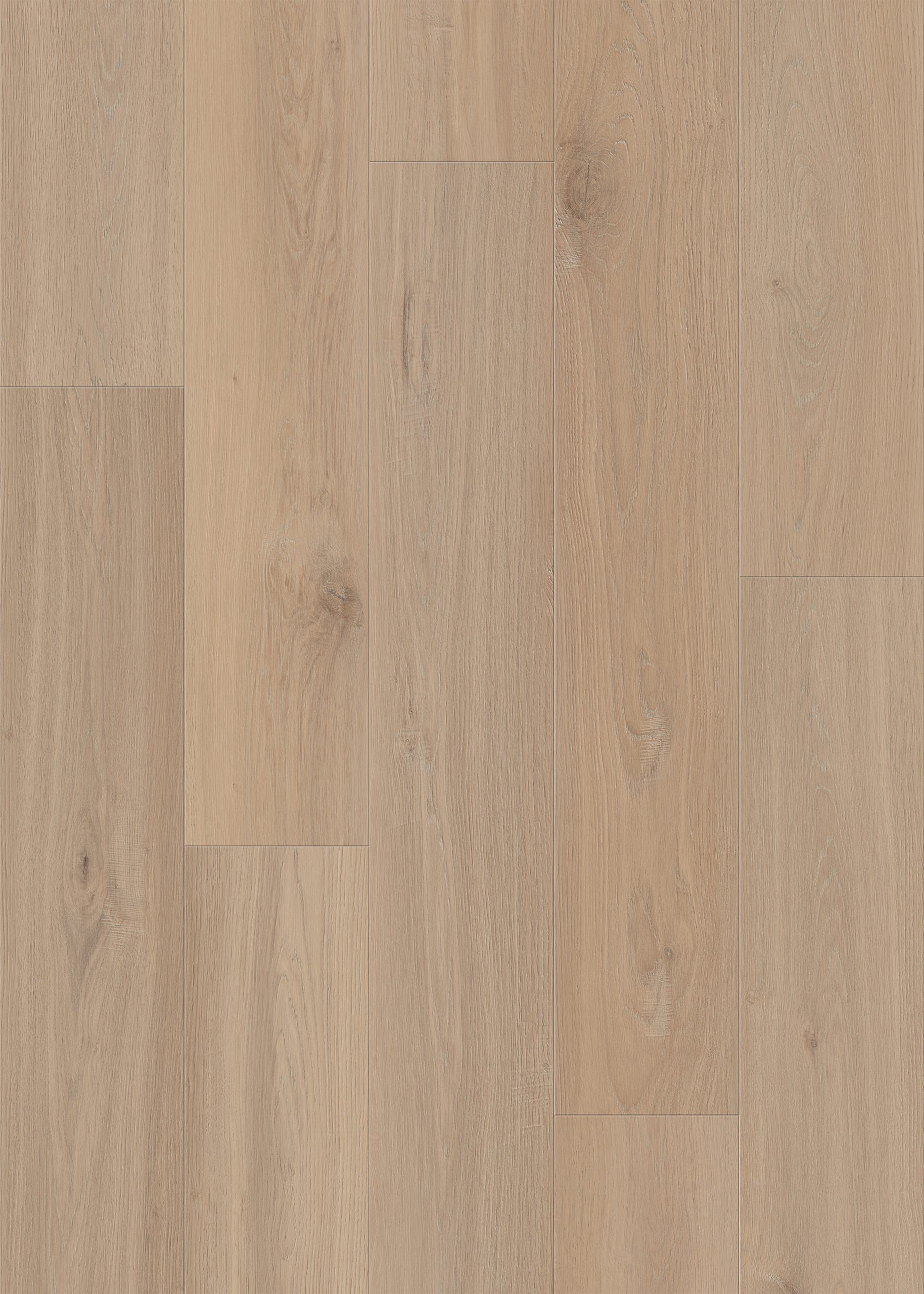 Lions Floor District Pro - East Aspen 7.25 in x 48 in 12 mil