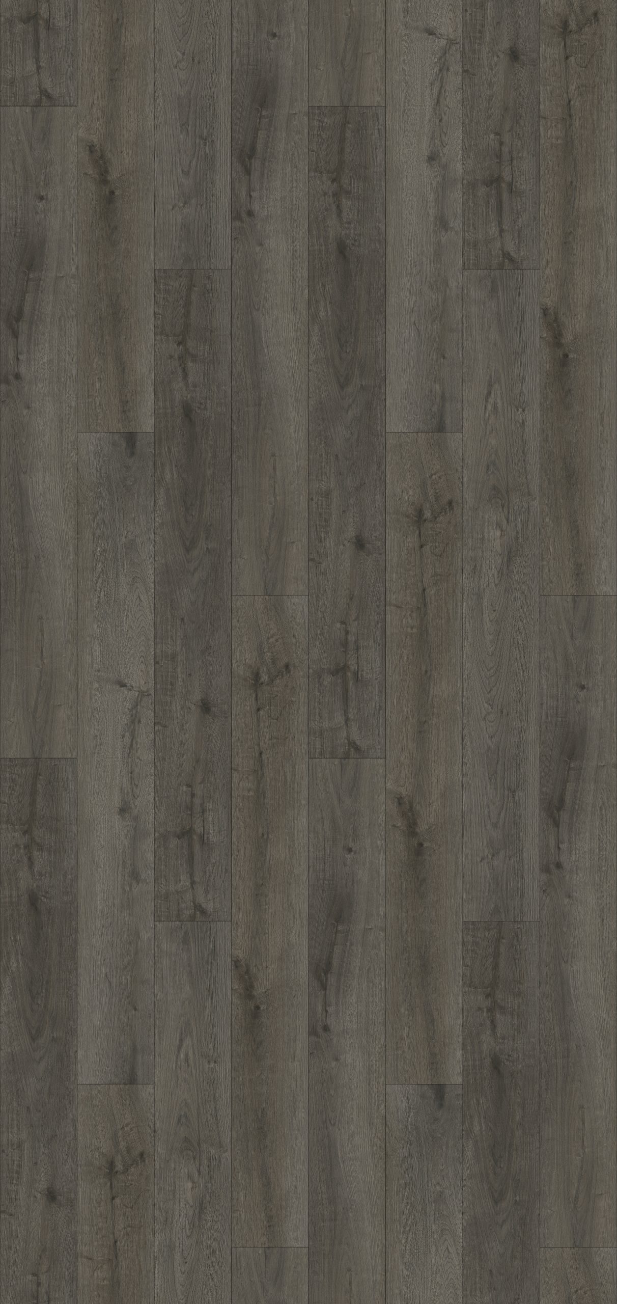 Lions Floor District - Bellevue 7.25 in x 48 in 6 mil