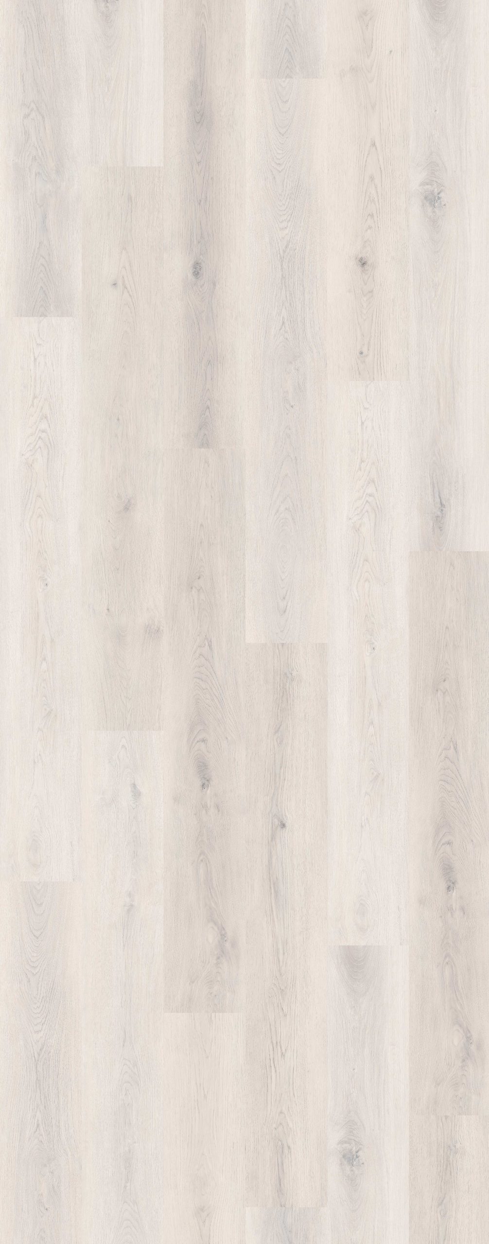 Lions Floor Formalay - Radius Mark 9 in x 60 in 20 mil