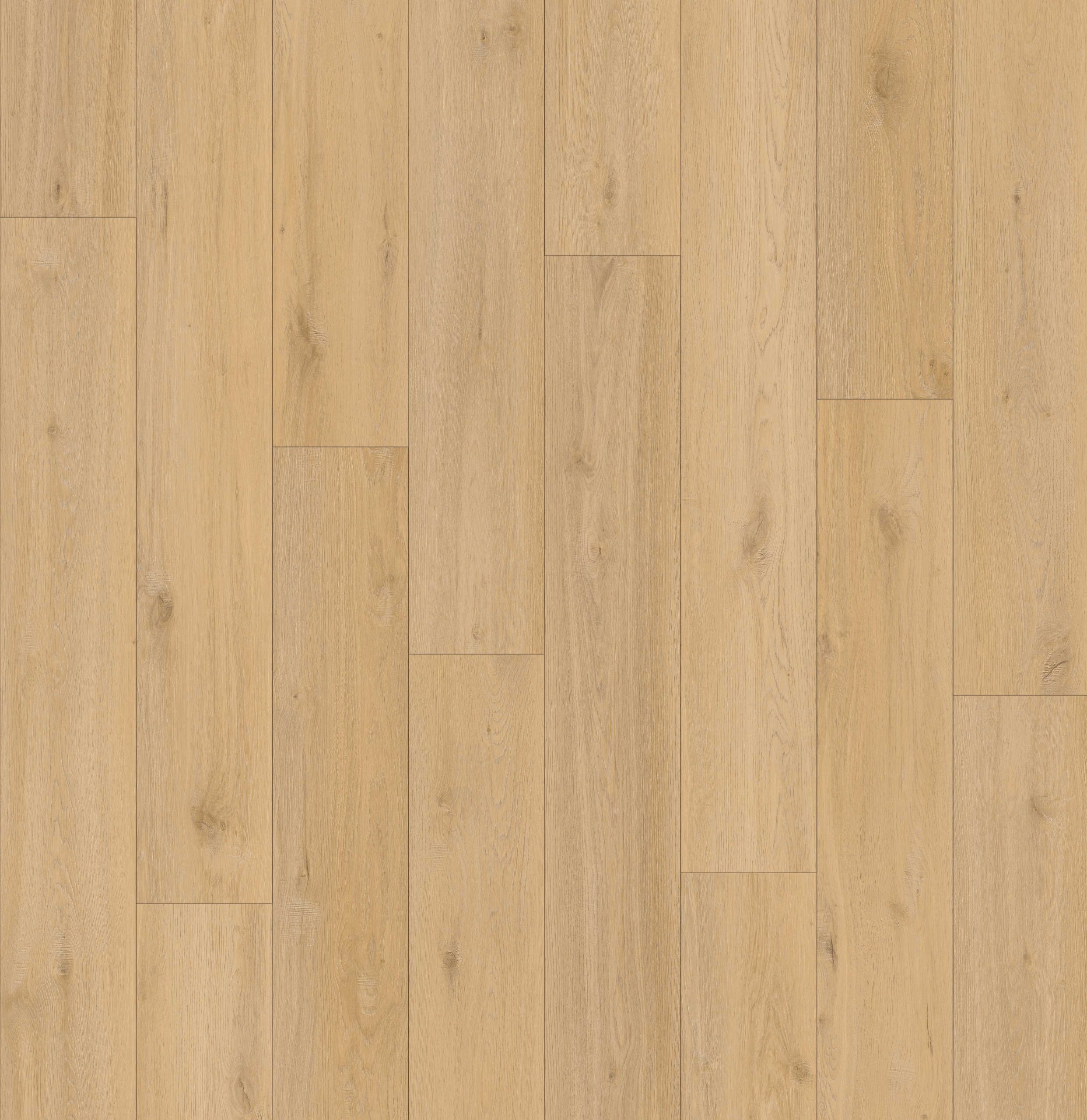 Lions Floor Lions Reservation - Savanna Gold 7 in x 60 in 20 mil