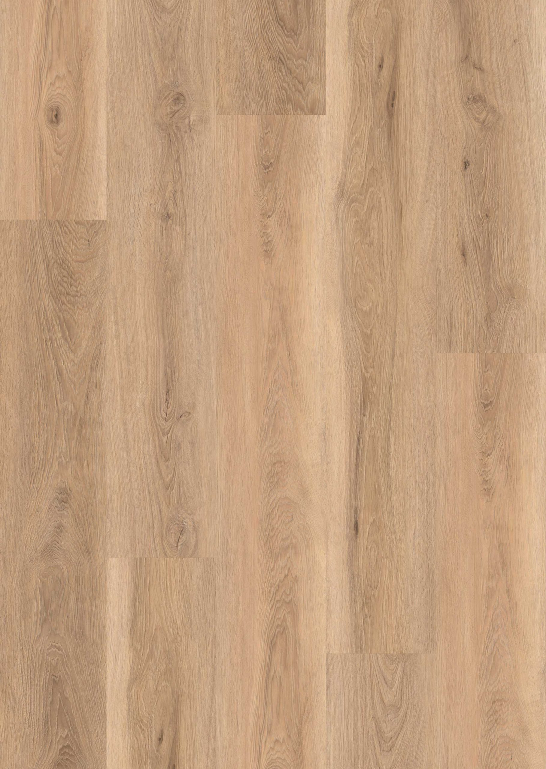 Lions Floor Lions Reservation - Suncrest Plateau 7 in x 60 in 20 mil