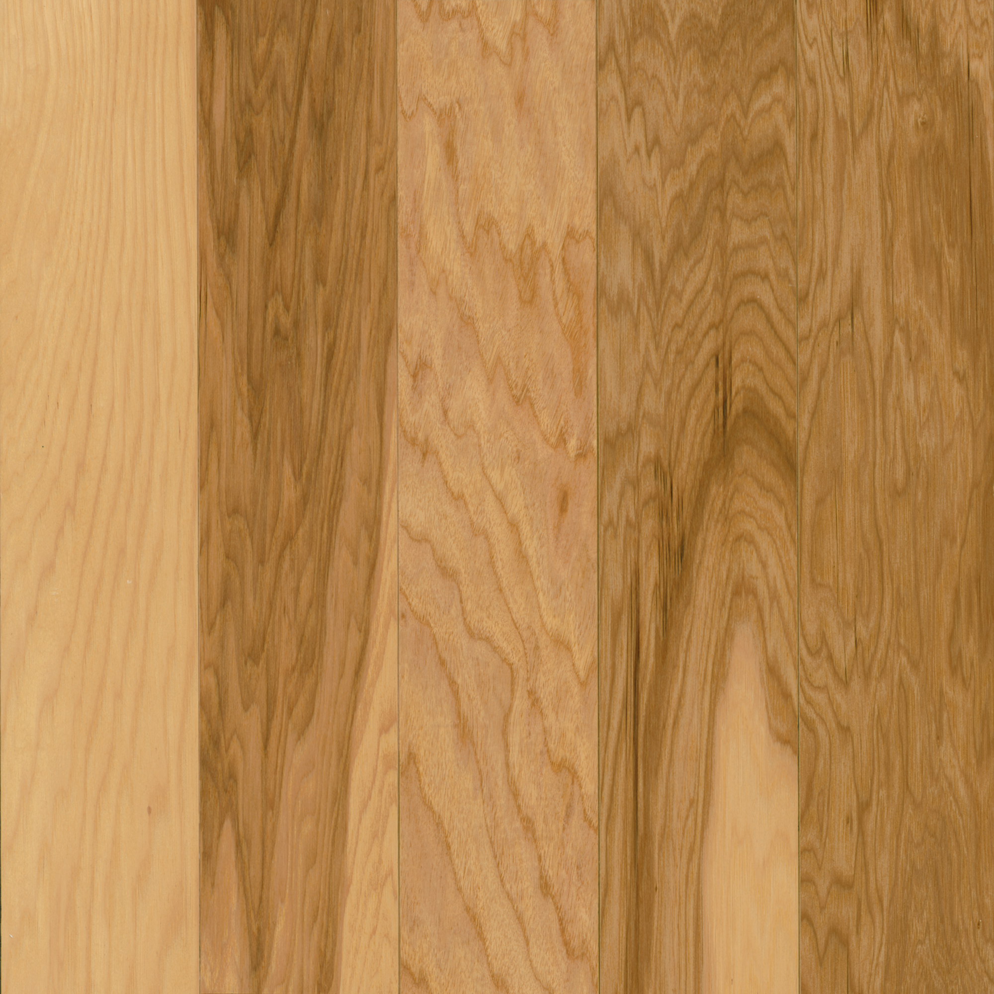 Hartco Prime Harvest - Country Natural (Natural) 3-1/4" wide 3/4" thick in Hickory