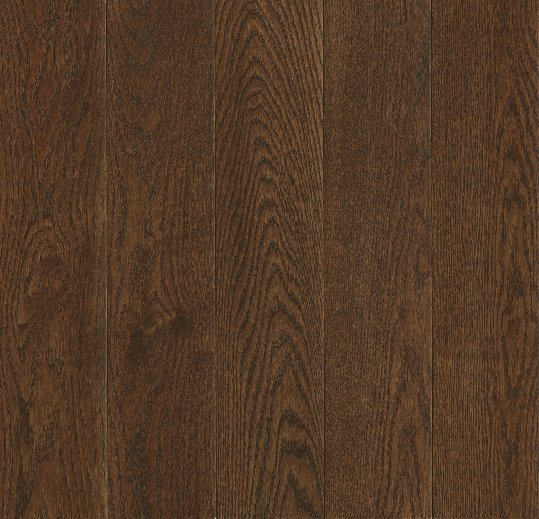 Hartco Prime Harvest - Cocoa Bean (Dark Brown) 3-1/4" wide 3/4" thick in Red Oak
