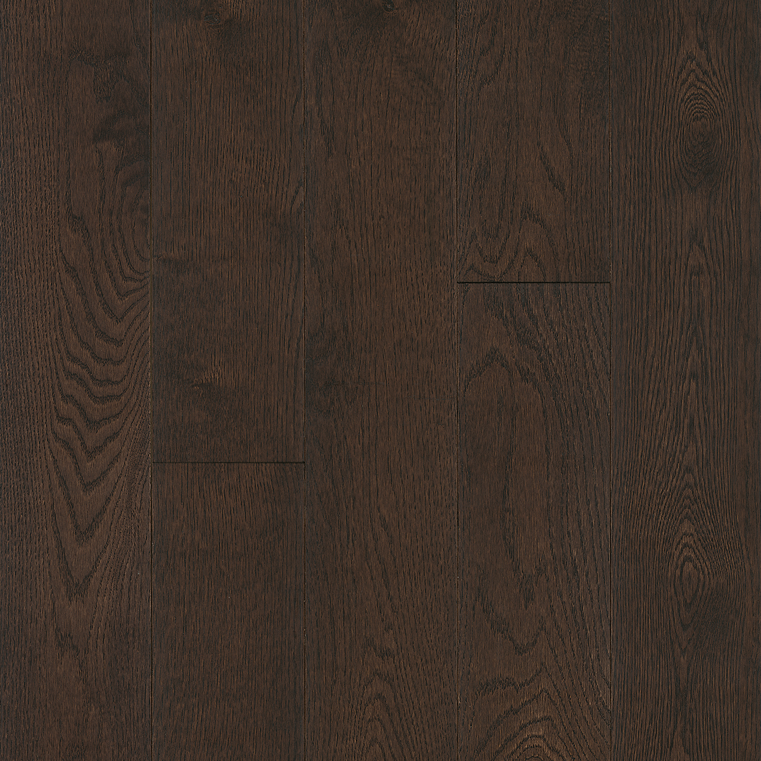 Hartco Prime Harvest - Mocha (Dark Brown) 2-1/4" wide 3/4" thick in White Oak