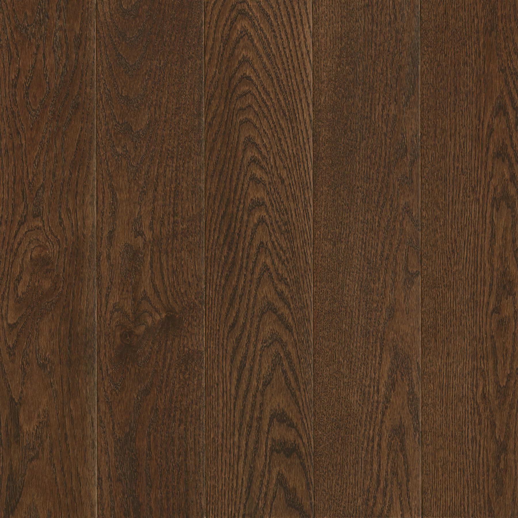 Hartco Prime Harvest - Cocoa Bean (Dark Brown) 2-1/4" wide 3/4" thick in Red Oak