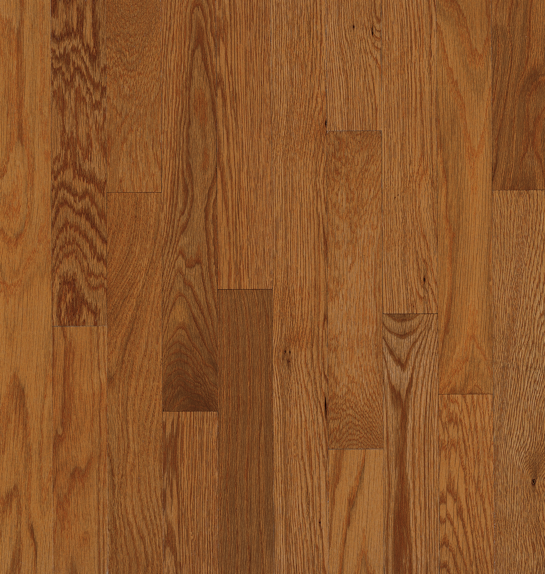 Hartco Yorkshire - Auburn (Medium Brown) 2-1/4" wide 3/4" thick in White Oak