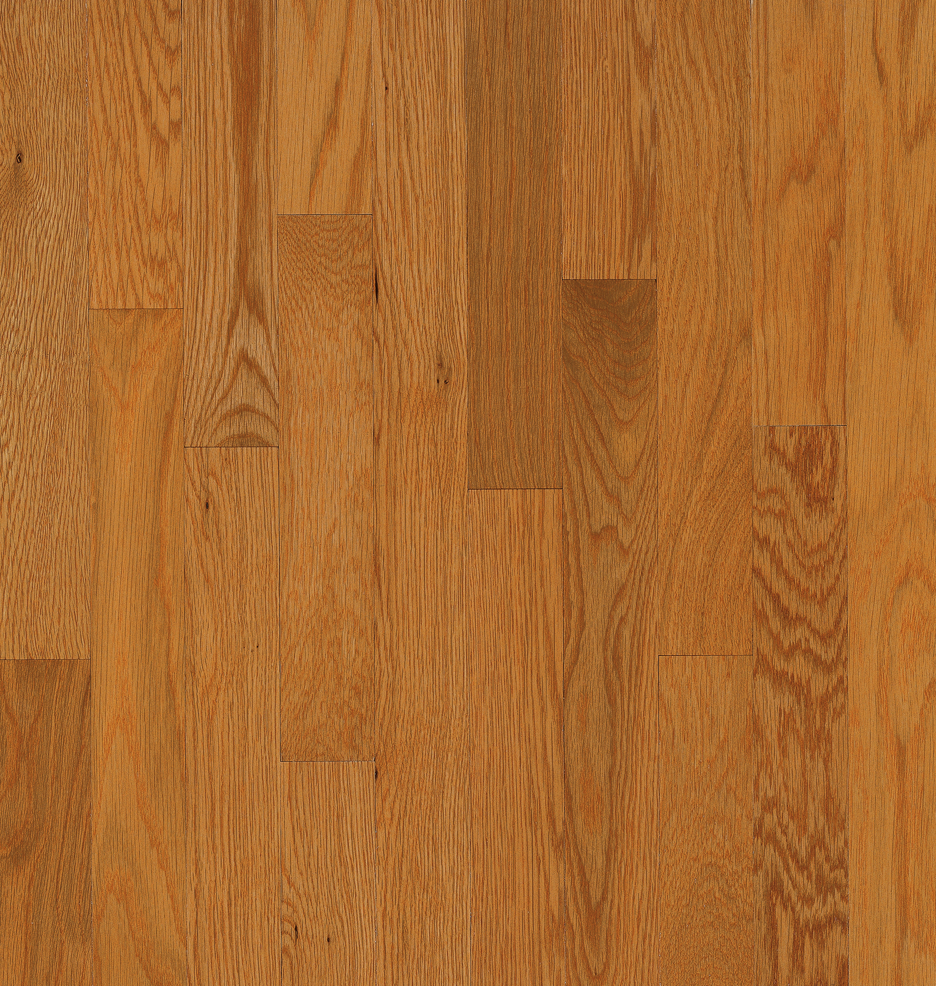 Hartco Yorkshire - Canyon (Medium Brown) 2-1/4" wide 3/4" thick in White Oak