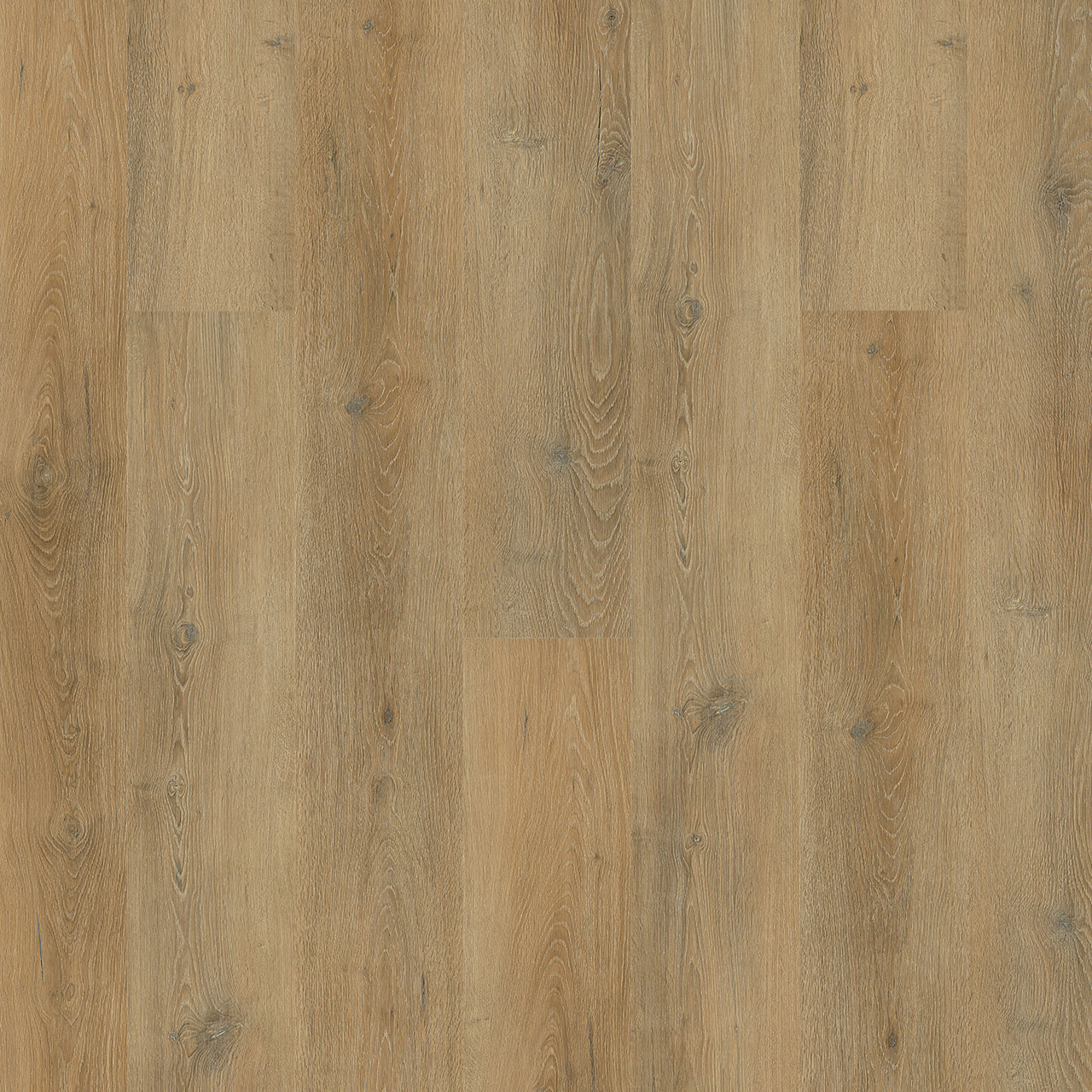 Engineered Floors GALLATIN PLUS - Easter Island 8 mil 7 in x 48 in